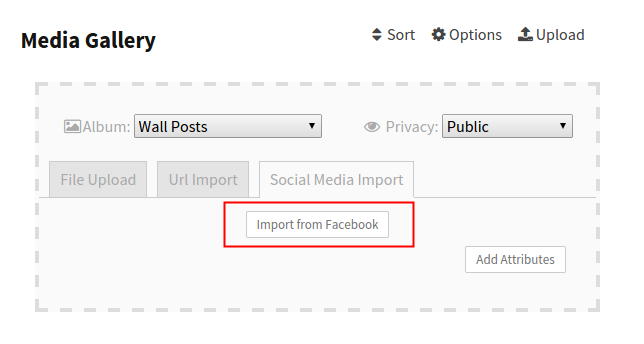 rtmedia-social-sync-howitworks