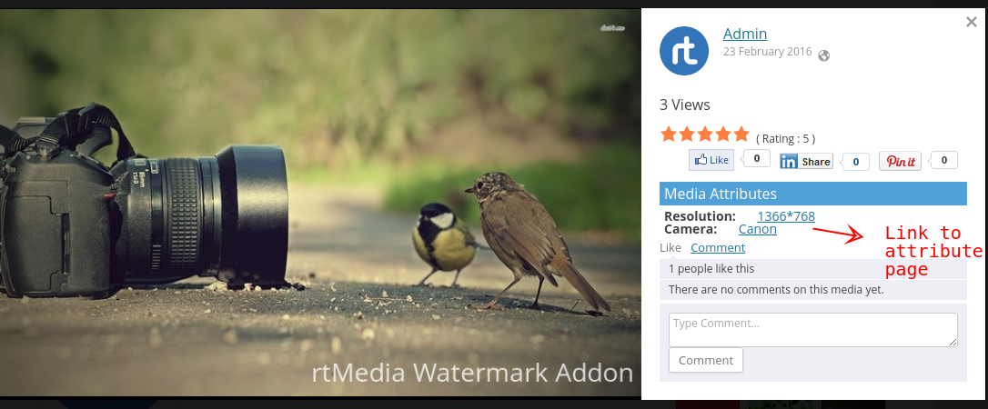 custom-attribute-link