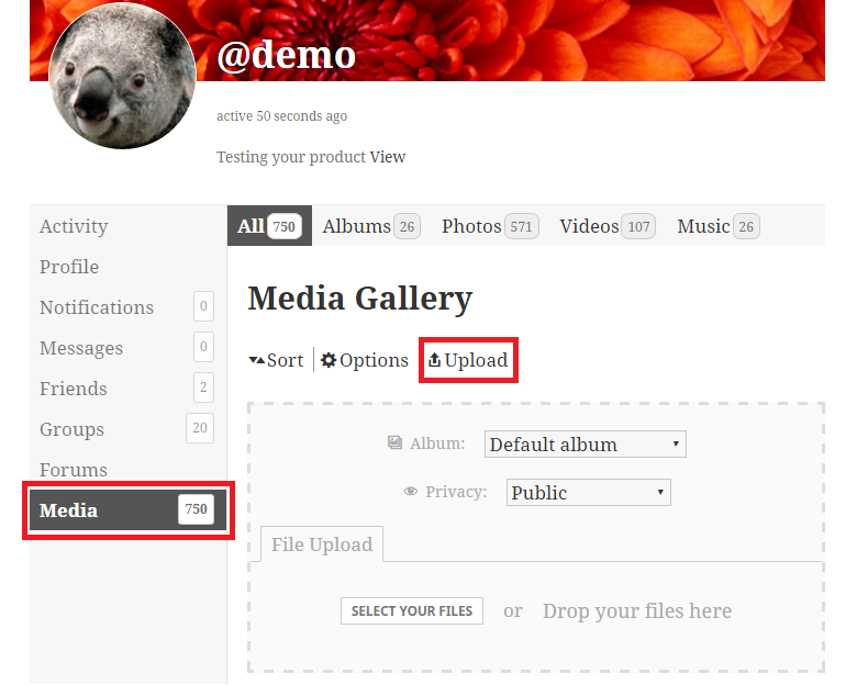 Upload media from Media tab in your profile