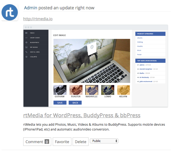 rtMedia-preview-posted