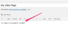Shortcode supported picture