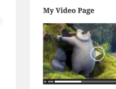 Video with thumbnail