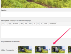 Change video thumbnails image