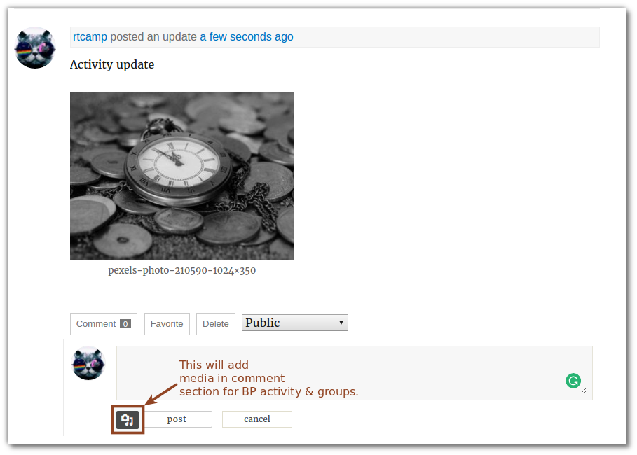 comment_media_bp_activity