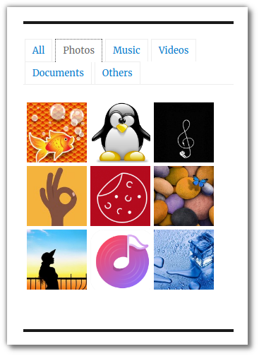 rtmedia sidebar widget gallery view
